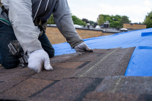 Best Roof Maintenance Services  in Fort Lewis, WA