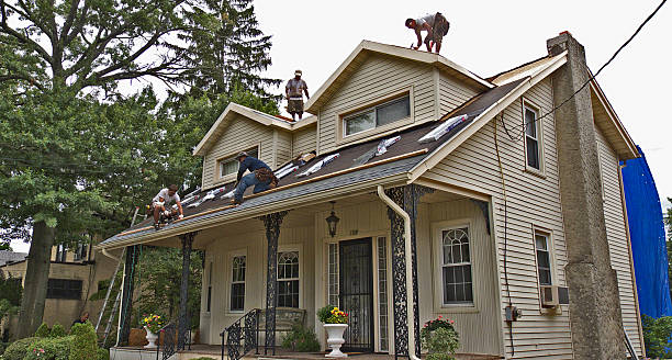 Best Roof Repair Specialists  in Fort Lewis, WA